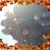 Stephanie Wilson's profile image