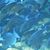 Buzzy B. Kirchner's profile image