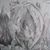 Jesse Gillispie's profile image