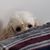 Steve Stull's profile image