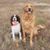 Ginny Farber- Hoinowski's profile image