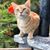 Stirling Greenlee's profile image