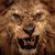 Dave Brethauer's profile image