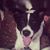 Jason Holcomb's profile image