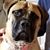 Barbara Marlene McCarty's profile image