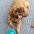 Donna Baker Andrews's profile image