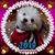 Connie Fragapane Denis's profile image