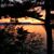 Marsha Garber's profile image