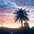 Brenda Zwick's profile image