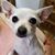 Barbara Bowen's profile image