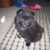 Cindy Halterman's profile image