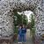 Marilyn Orthman's profile image