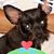 Jackie Hall's profile image