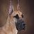 Tonda Genther's profile image