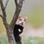 Teresa Terrell Russell's profile image