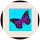buterflycandy