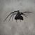 Jonquil Elise Dreadful's profile image