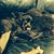 Tammy Lewis Walker's profile image