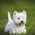 Dolores Rivelli's profile image