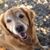 Cathy Condon's profile image