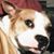 Gina Satterfield's profile image