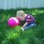 Sarah Cook's profile image