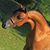 Carolyn Muzzey's profile image