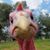 John Hochreiner's profile image
