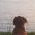 Chester C.'s profile image
