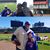 Rob Miller's profile image