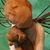 Joan M Piwoni Barfield's profile image