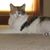 Cindi Bolda Wilson's profile image