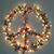 Dorothy Fairhurst-Klein's profile image