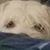 Kendra Stroud's profile image