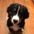 Carolyn Padgham-Walker's profile image
