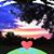Dawnlyn Begun's profile image
