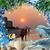 Lisa Scobee's profile image