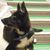 Linda Asplund's profile image