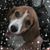 Jinnie Moore Monroe's profile image