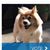 Doreen Salazar's profile image
