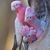 Yvonne Sanderson's profile image