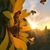Lisa Harris Dodd's profile image