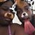 Christriaun Pate's profile image