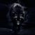 Steve Hayes's profile image