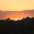 Betty Songer's profile image