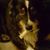 Nick-Lori Elliott's profile image
