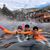 Denise M. Edlowitz's profile image