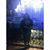 Evelyn Sanchez's profile image