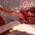 Steven Demeritt's profile image