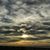 Susan Mui's profile image